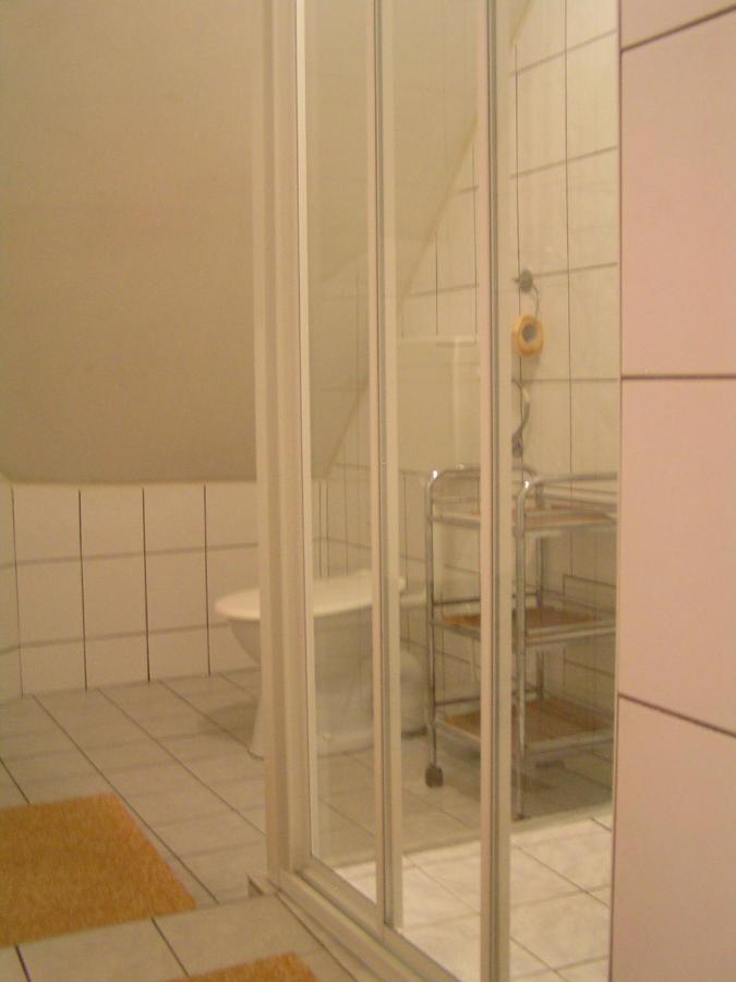Penzion Na Samote カプリツェ エクステリア 写真